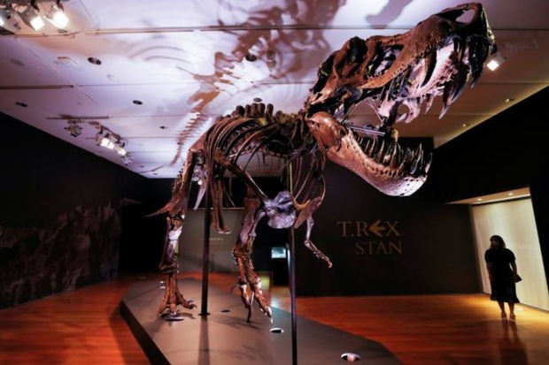 nyu-yorkda-76-milyon-yasi-olan-dinozavrin-skeleti-herraca-cixarilir